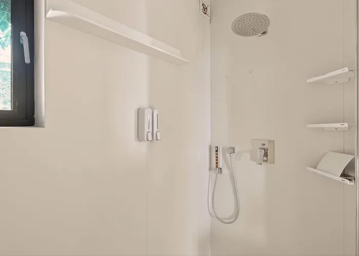 Design Lux Harmony In Bamboo Garden,no Shoes Allowed Inside